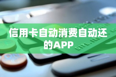 信用卡自动消费自动还的APP推荐-第1张图片