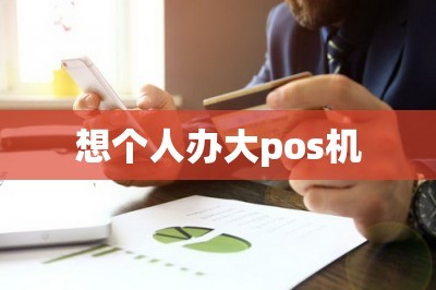 想个人办大pos机（免费领办pos机技巧推荐）