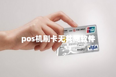 pos机刷卡无共同软件