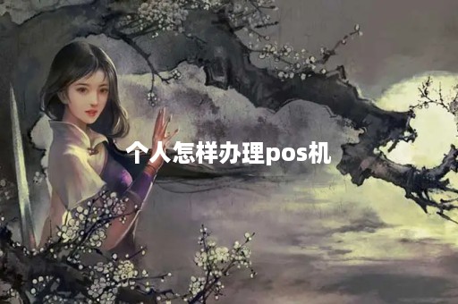 个人怎样办理pos机